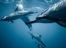 米乐-【英超】马赫雷斯帽子戏 丁丁两助攻+中柱 曼城5比0